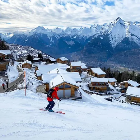 In Near Ski-slopes Chalet